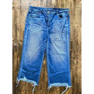 American Eagle Distressed Crop